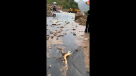 Roads destroyed after floods and landslide caused by heavy rains in Vietnam