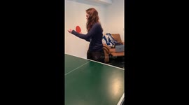 Shiba Dog Surprised Everything By Playing An Excellent Shot In The PingPong Game