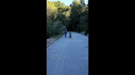 Running with baby stroller