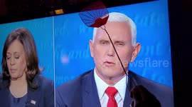 Swat a debate! Man in New Jersey has hilarious reaction to Mike Pence's fly