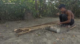 Building most beautiful mud dog house with garden for abandoned puppies