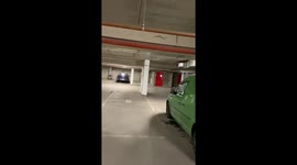 Pure joy! Dog gets serious case of the 'zoomies' in car park
