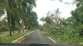 Hurricane Delta slams into Cancun downing trees, scattering debris