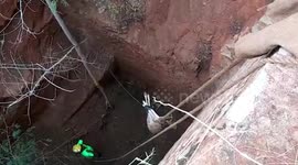 Lost deer lifted out of farmland well by fire officials in southern India