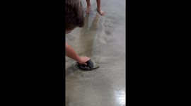 Brave boy saves tiny baby shark washed up on South Africa beach