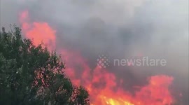 Wildfires rage in Lebanon's mountainous area
