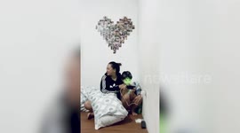 Clingy pet dogs becomes jealous when owner kisses relative