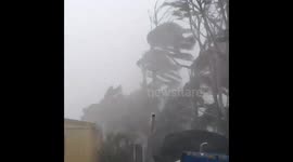 TC Marcia