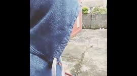 The greatest hurling trick shot of all time