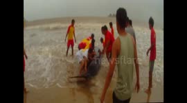 Young killer whale saved, released back into South China Sea