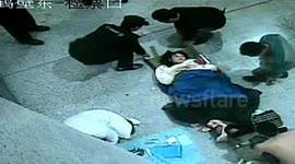 Steward delivers baby girl in train waiting room in China