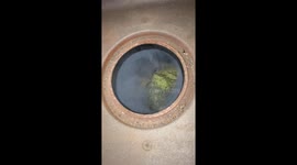 Cool smoke in fireplace