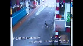 Lost dog pines for owner on China roadside