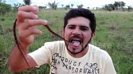 Man bitten while putting live snakes in his mouth