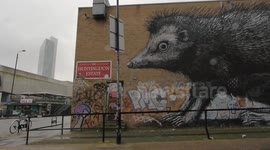 Animal Graffiti