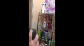 Wife and I vs Spider