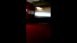 police try to help stunned deer