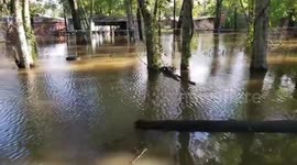 US: Hurricane Delta Leaves Floods And Destruction In Louisiana