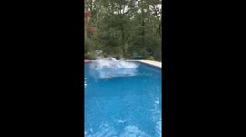 Overweight man in pants does spontaneous belly flop into swimming pool!