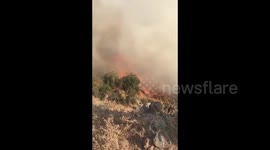 Turkey: Fast-Moving Wildfire Breaks Out In Hatay, Erzin