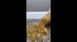 How to clean a Coffee Spill from a carpet