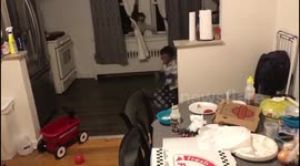 Doll pops out of window and scares Pittsburgh boy senseless