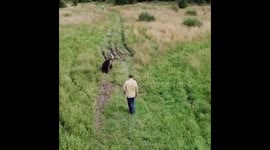 walk with a bear