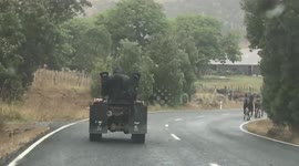 Farm dogs riding the back of quad bike as farmer moves cows