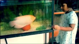 Girl and friendly fish.