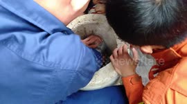Firefighters free 2-year-old girl's head from cement pipe in eastern China