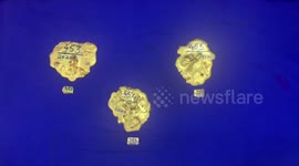 Customs officials seize gold worth $179950 from airport in southern India