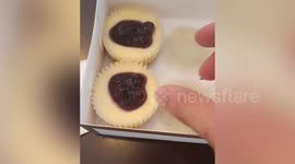 Adorable puppy fooled with imaginary cheesecake