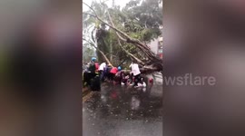 Passersby lift up tree to free scooter rider as Typhoon Nangka makes landfall in southern China
