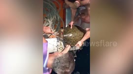 Thai divers rescue turtle trapped in fishing nets and release it back to the sea