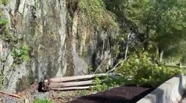 Canada: Wind Storm Rolls Into Vancouver, Causing Significant Damages 3