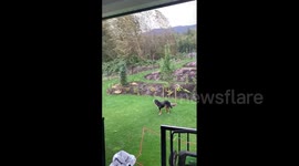 Canada: Wind Storm Sweeps Through British Columbia Region