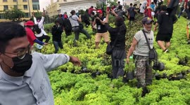 Anti-government protesters tear up flower bed in Bangkok