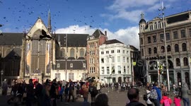 Borda storm in Amsterdam