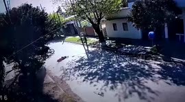 Assaulted and dragged by thieves in Argentina, a woman gets run over and survives
