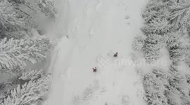 Buddy powder shred
