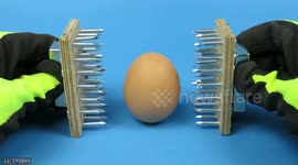 DIY metal 'jaws' demolish egg in bizarre experiment