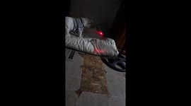 Funny bulldog loves chasing about laser light