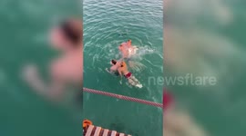 Disabled man leaps from wheelchair to save drowning swimmer in Russia