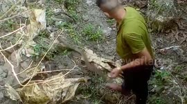 Indian rat snake rescued from deep well in northern India