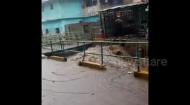 Torrential rain sees floodwater flow through Venezuela's Caracas