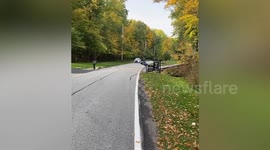 Goose flies alongside owner while he rides bike in Ohio