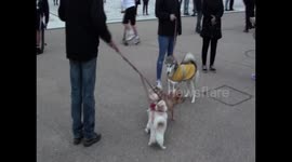 blackpool lockdown protest 2