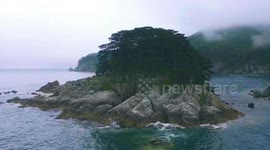 vladivostok. russia. summer nature wild. sea and mountains