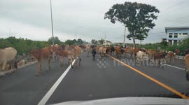 Traffic jam in rural Thailand.