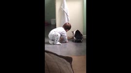 Cat lets baby share its food